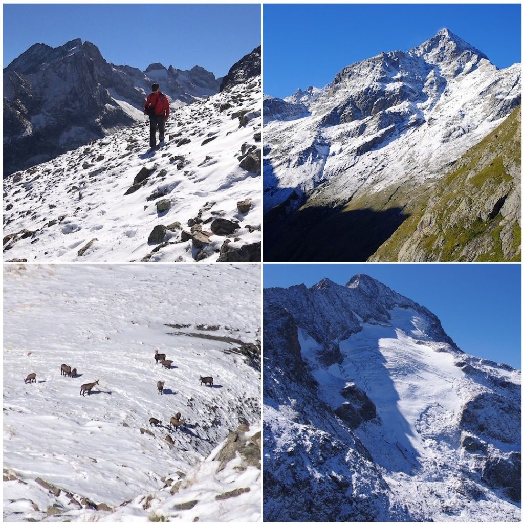 Fleuve Venant Des Alpes 2 Lettres Cime du Pied de Barry : show et froid sur les Ecrins