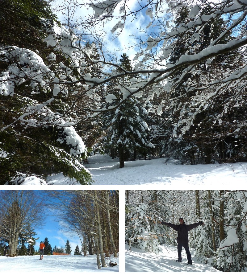 Ardèche Bois de Bauzon hiver