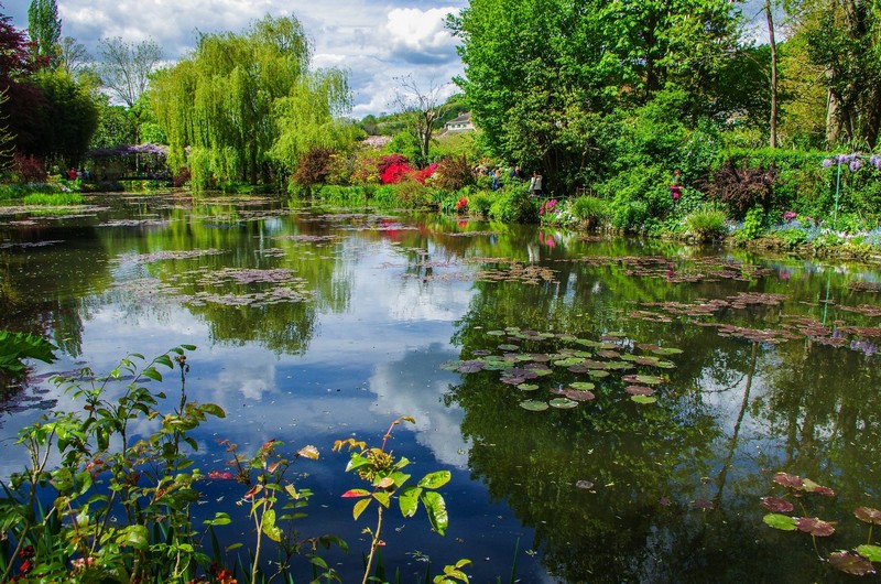 Giverny Fondation Monet le jardin aquatique bassin nymphéas