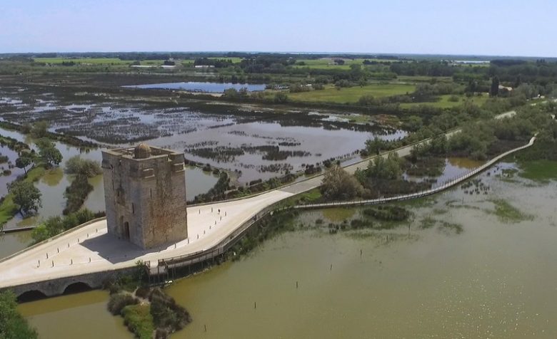 camargue gardoise