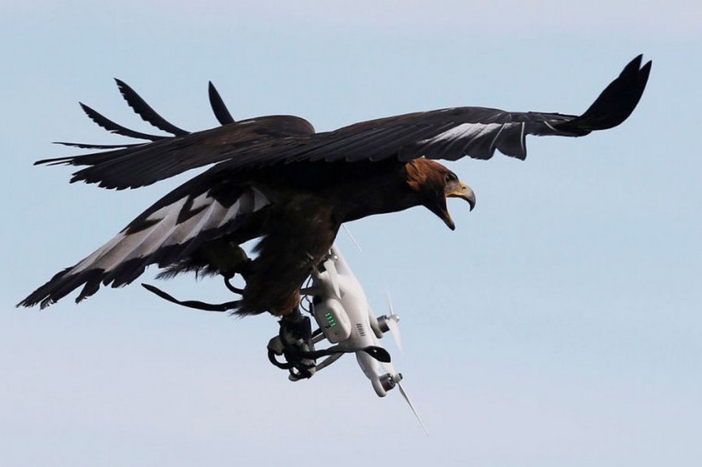 Demande de filmer par drone - Doué en Anjou